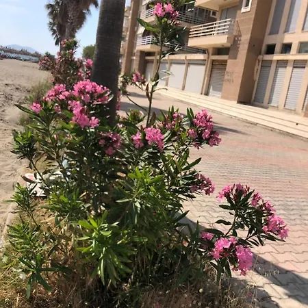 Apartment Vlore Apartment Vlore